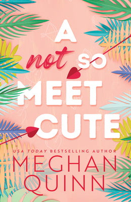 A Not So Meet Cute (Cane Brothers #1) - by: Meghan Quinn