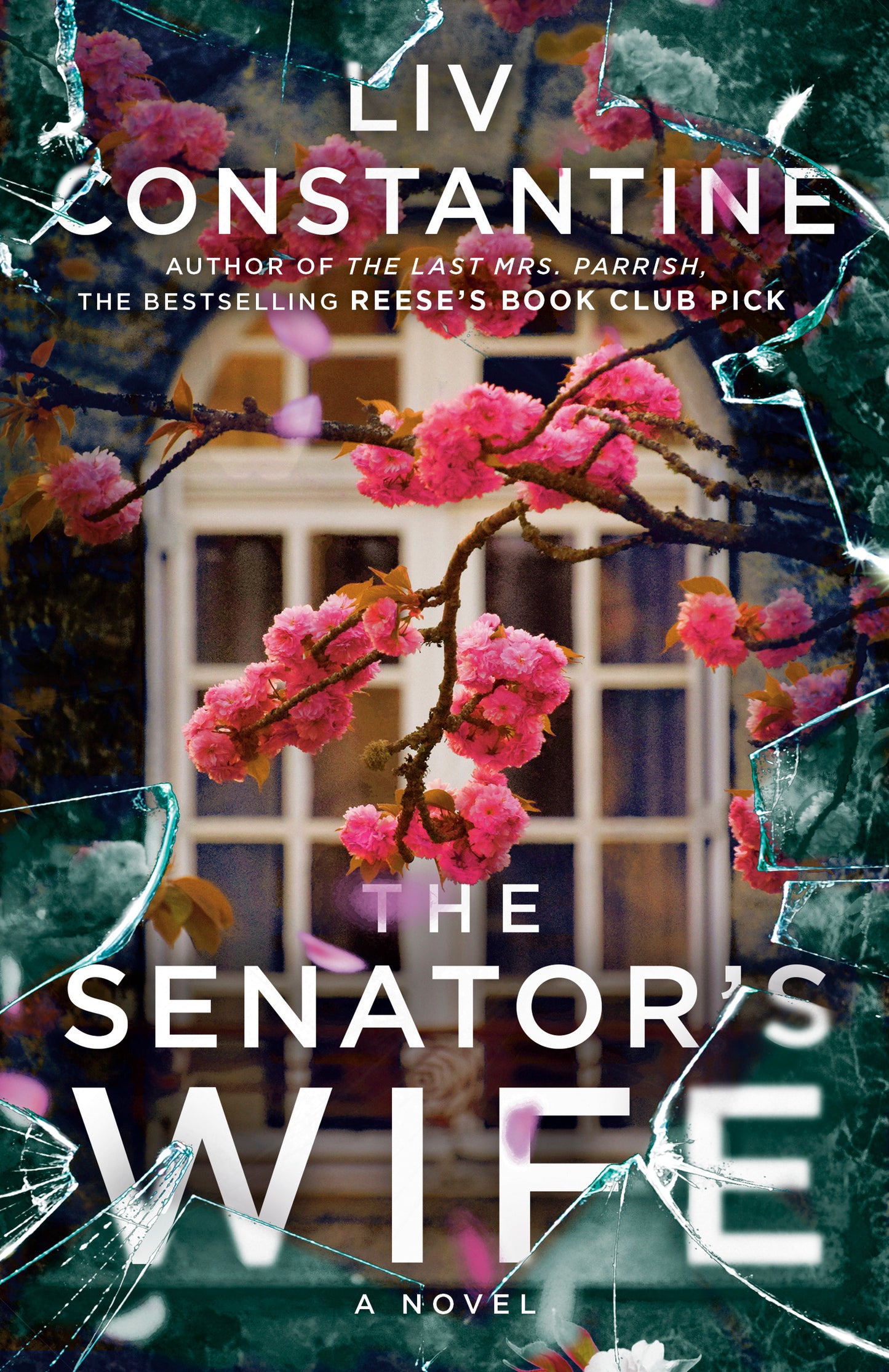 The Senator's Wife - by: Liv Constantine