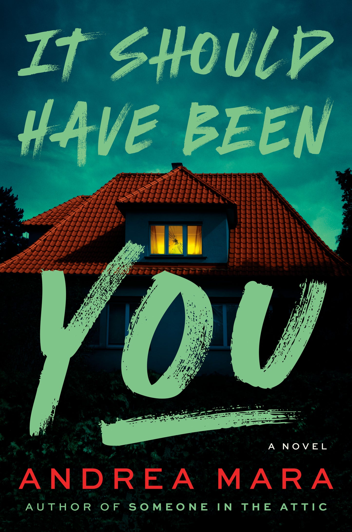 It Should Have Been You - by: Andrea Mara