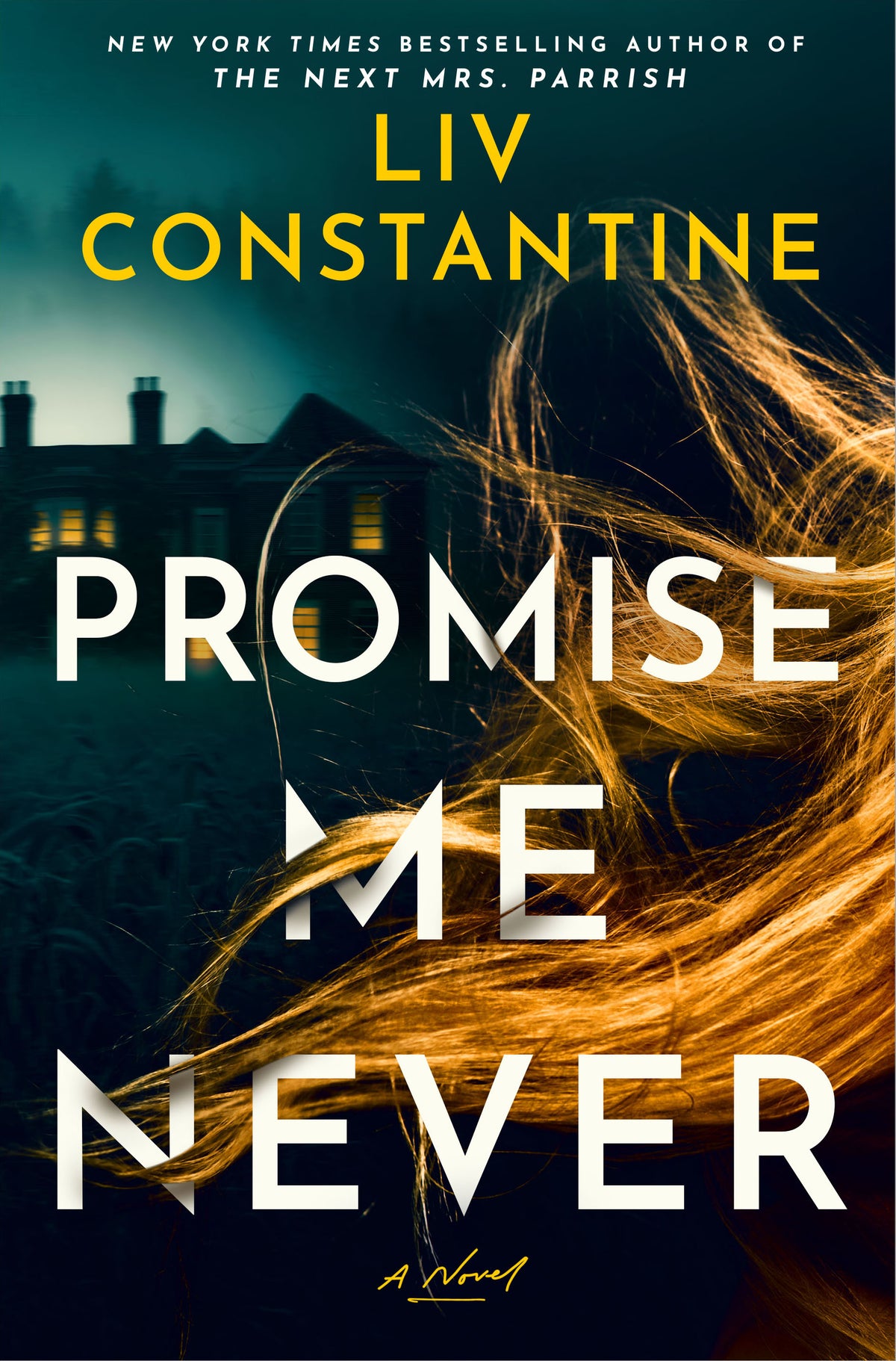 Promise Me Never - by: Liv Constantine