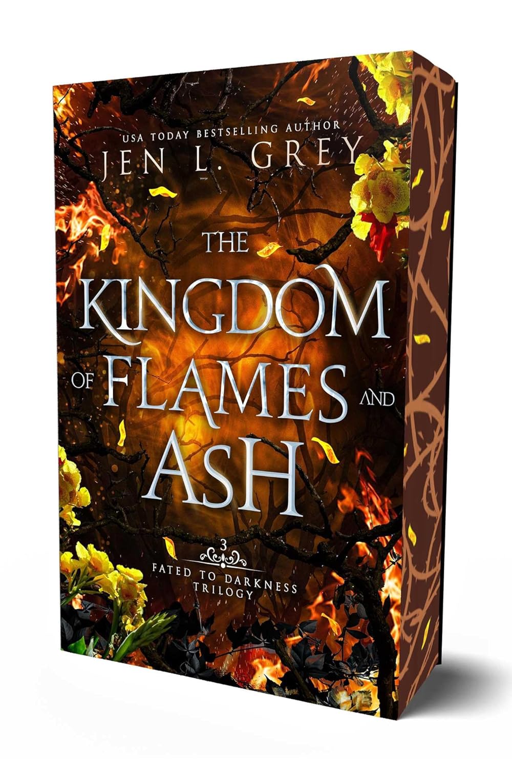 The Kingdom of Flames and Ash (Fated to Darkness #3) - Jen L. Grey